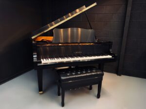 Facetune_08-05-2026-13-57-52 | Stage 7 Pianos