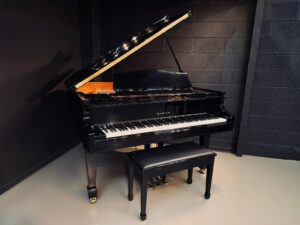 Facetune_19-05-2026-11-55-38 | Stage 7 Pianos