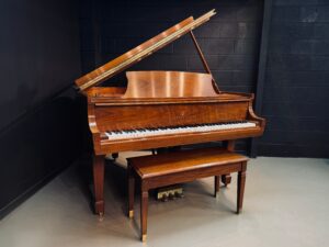 Facetune_22-06-2026-12-50-05 | Stage 7 Pianos