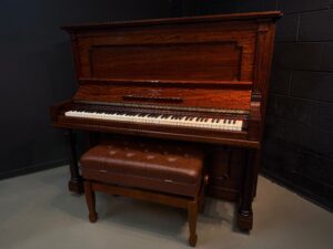 Facetune_27-06-2026-12-44-10 | Stage 7 Pianos