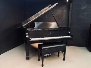 Facetune_06-07-2026-16-15-38 | Stage 7 Pianos