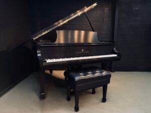 Facetune_29-09-2026-12-31-09 | Stage 7 Pianos