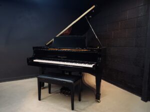 Facetune_09-10-2026-15-34-58 | Stage 7 Pianos