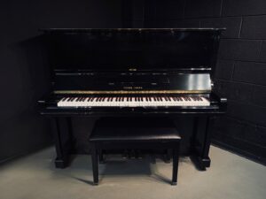 Facetune_15-10-2026-14-38-11 | Stage 7 Pianos